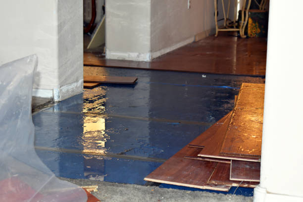 Professional Water Damage technician working in Worley, ID